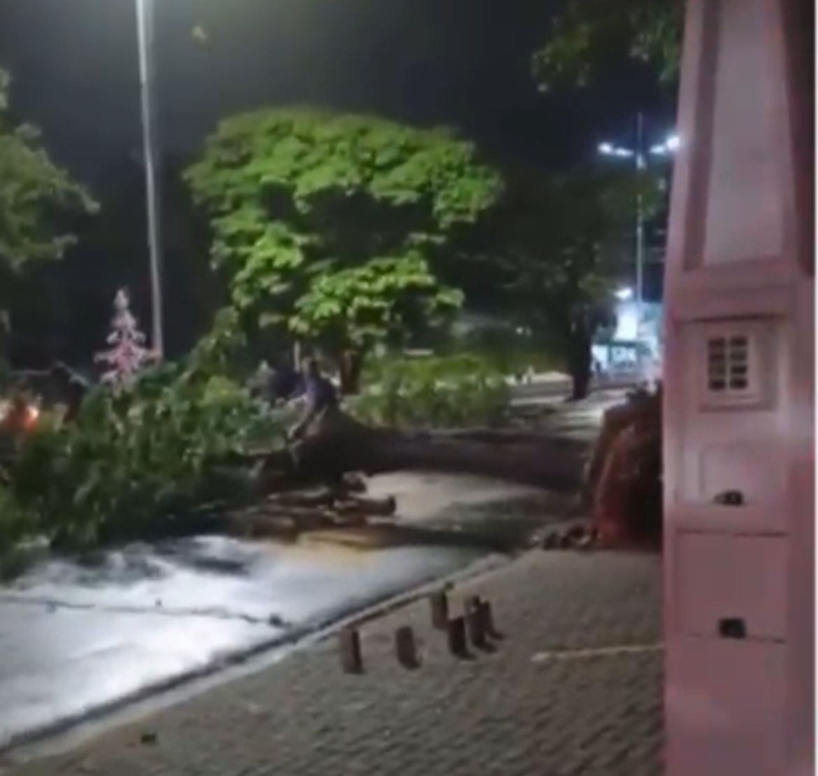 Indaiatuba registra 12 quedas de árvores devido às chuvas e ventos fortes