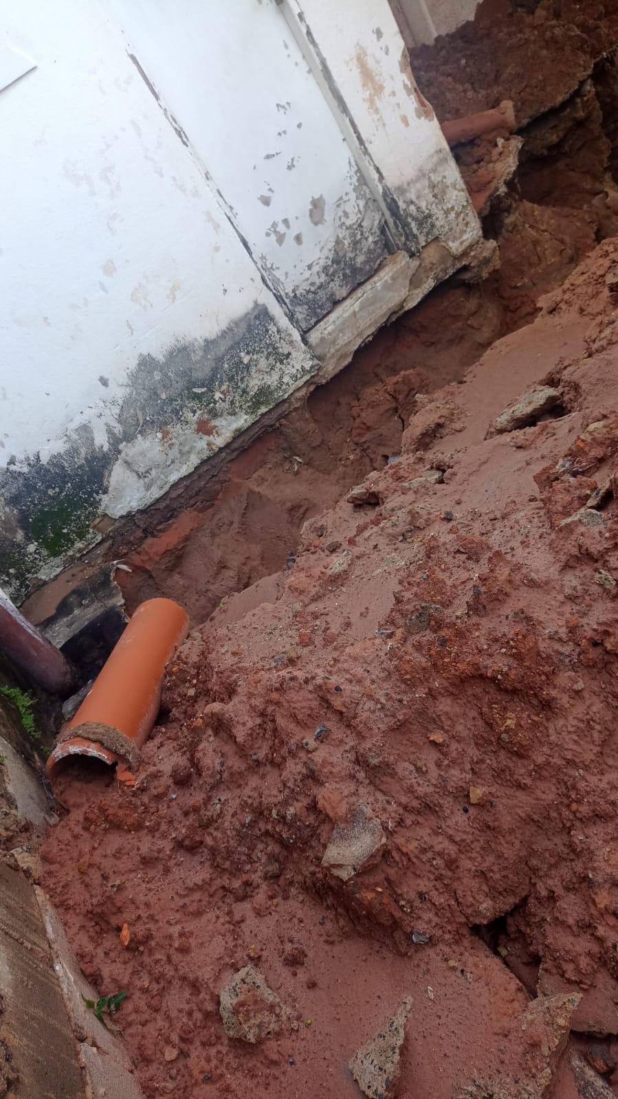 Moradora denuncia vazamento de esgoto em quintal na Vila Perseu Leite de Barros