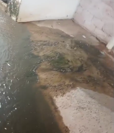 Moradora denuncia vazamento de esgoto em quintal na Vila Perseu Leite de Barros