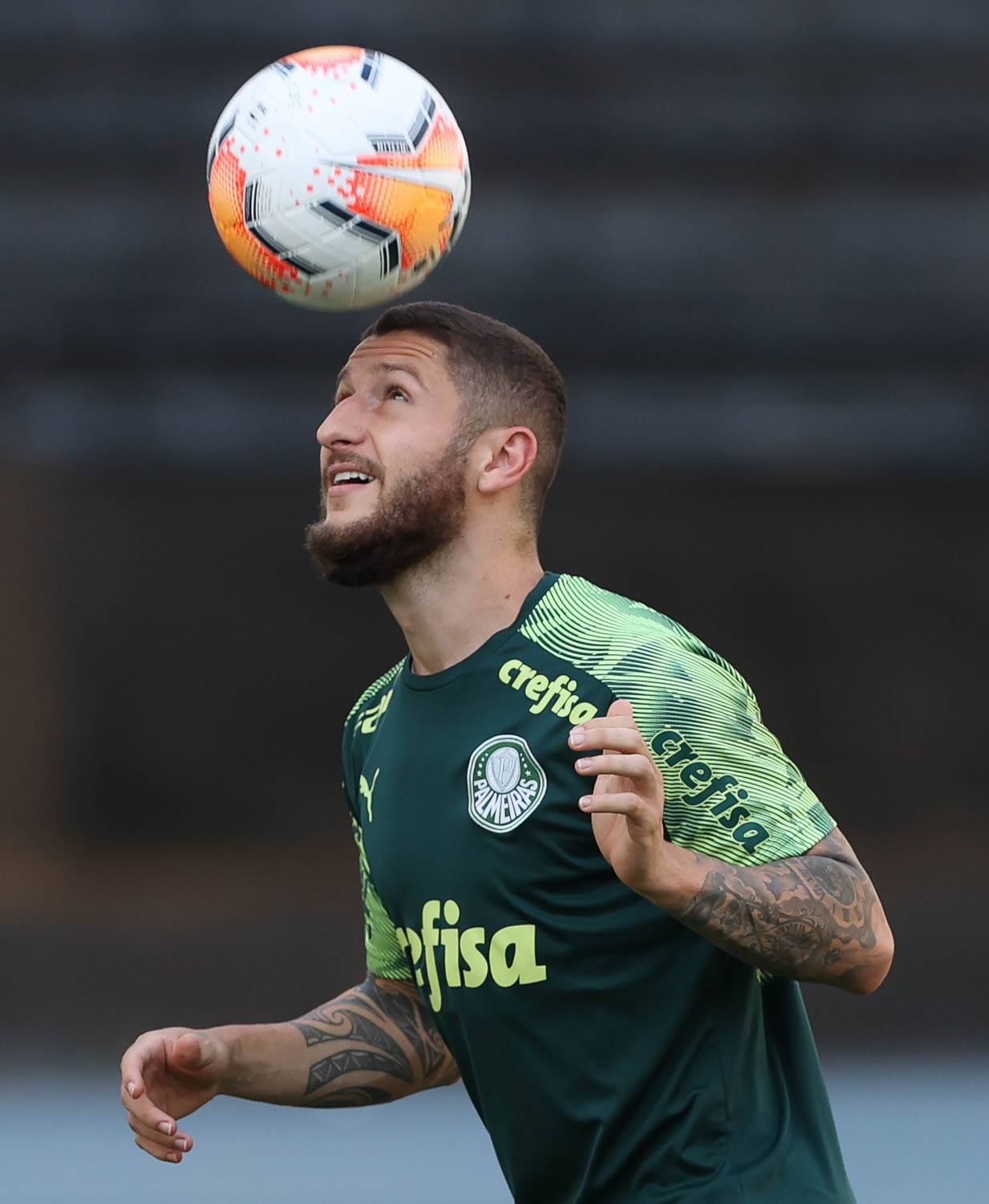 Namoro volta à tona e Santos pode ter Zé Rafael para sequencia da temporada