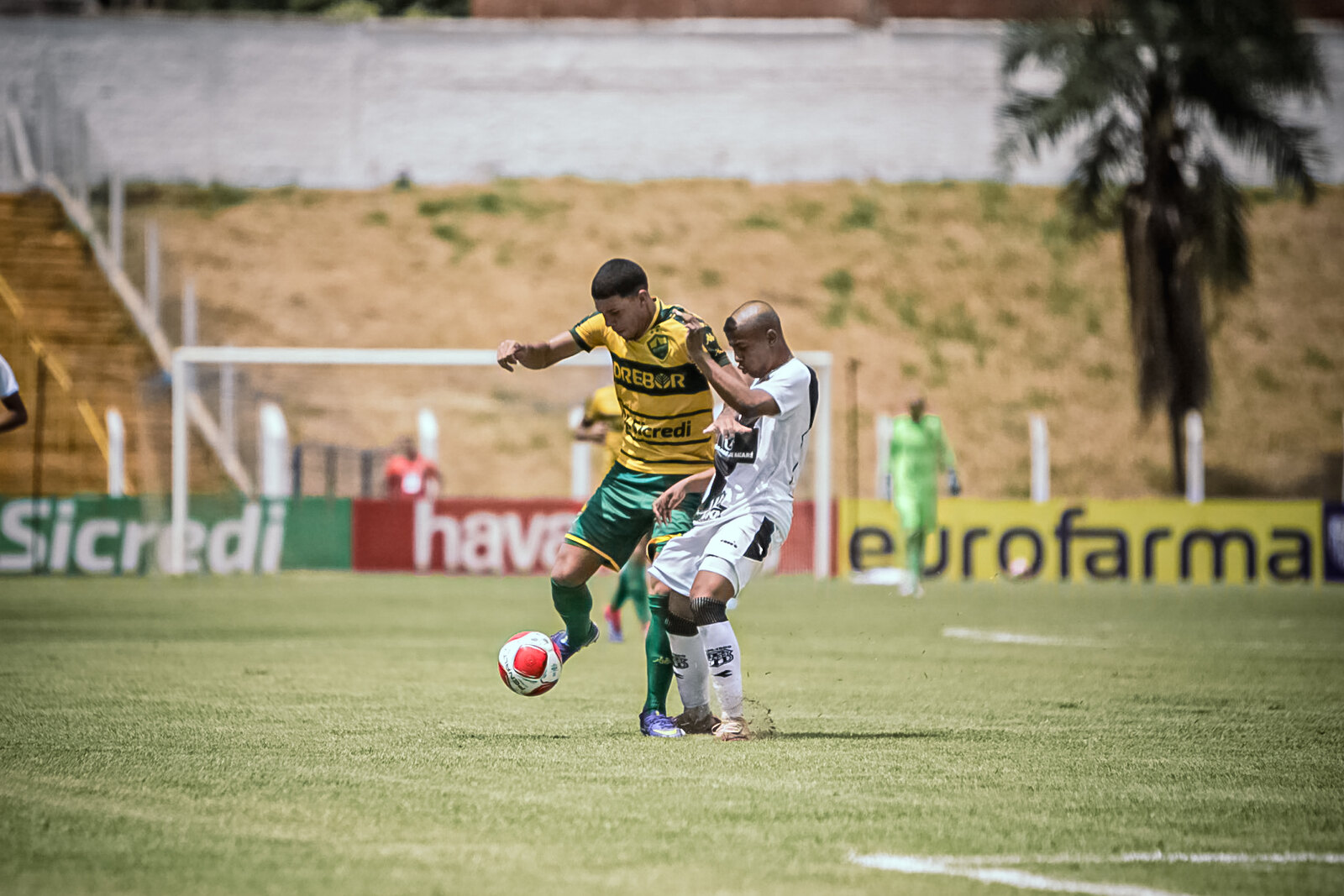 Ponte Preta promove dois jogadores da Copa São Paulo; Victor Andrade é liberado pelo DM