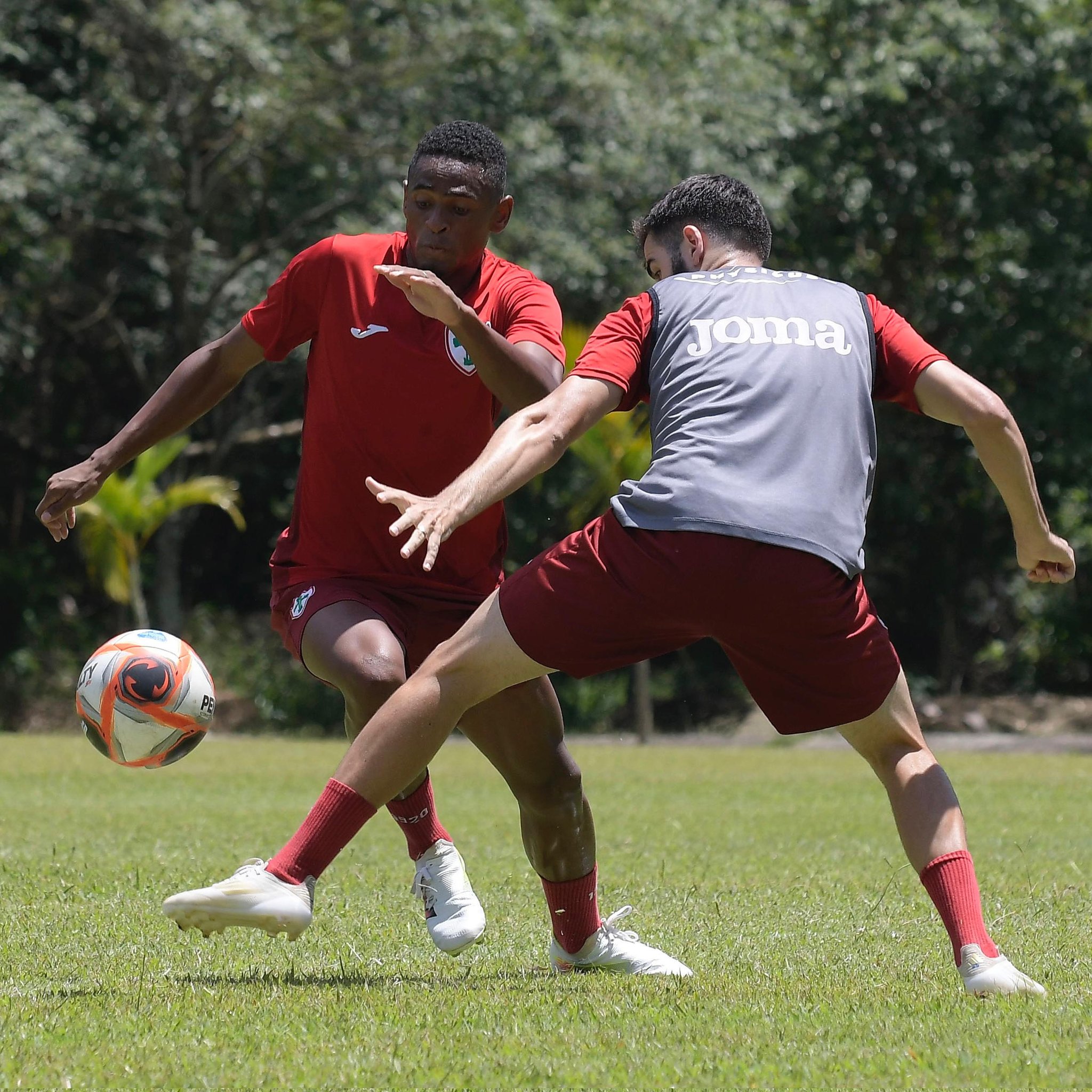 Portuguesa busca primeira vitória no Paulistão contra Ponte Preta em Campinas