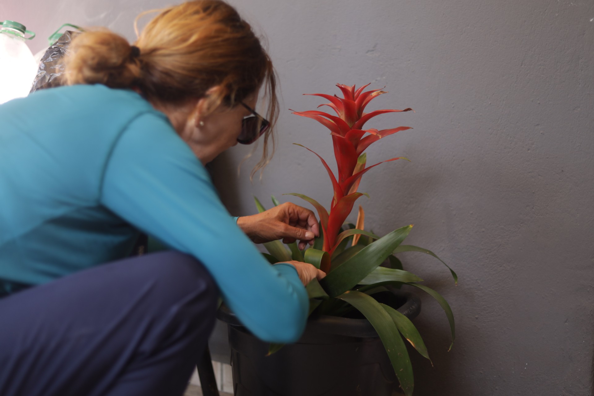 Amparo vai fazer mutirão contra dengue nesta quarta-feira no Pinheirinho