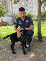 Canil da GM ganha novo integrante após Bart, um Beagle, se aposentar