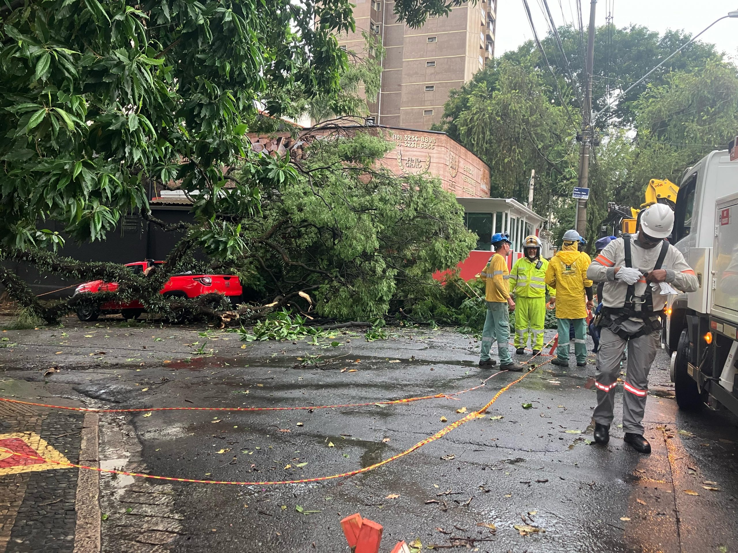Chuva: Campinas registra queda de árvores e poste; uma casa ficou alagada