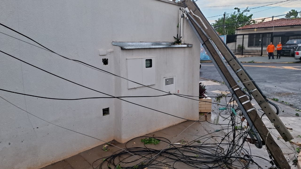 Chuva: Campinas registra queda de árvores e poste; uma casa ficou alagada