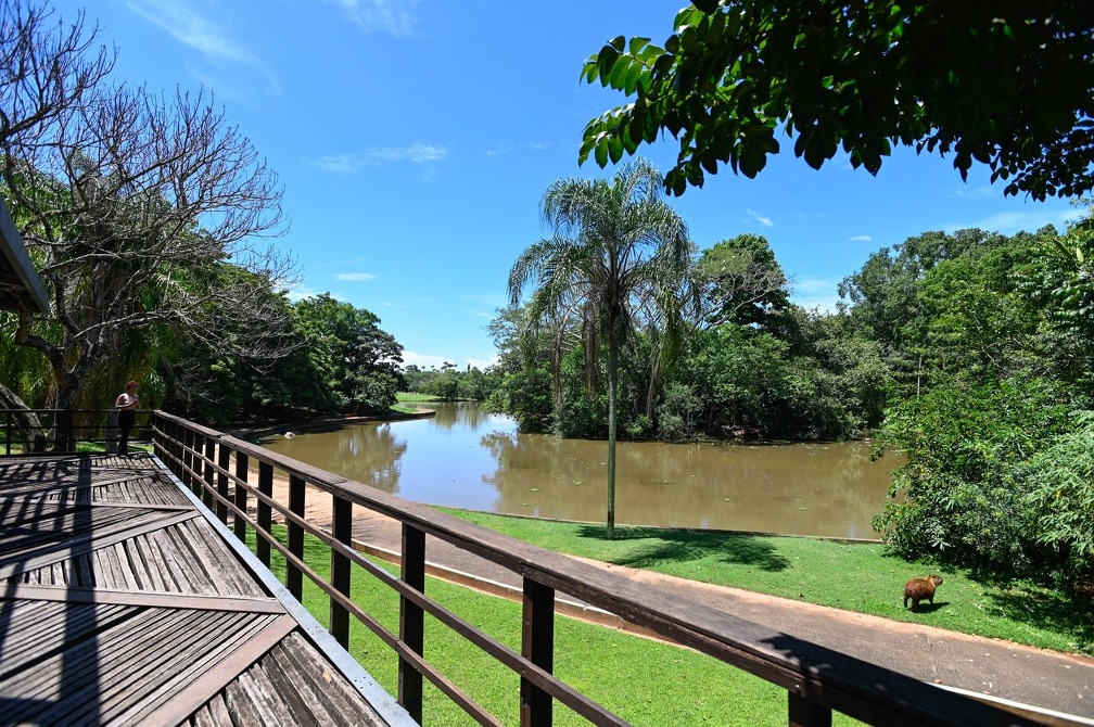 Campinas reabre todos os parques e bosques nesta quinta-feira