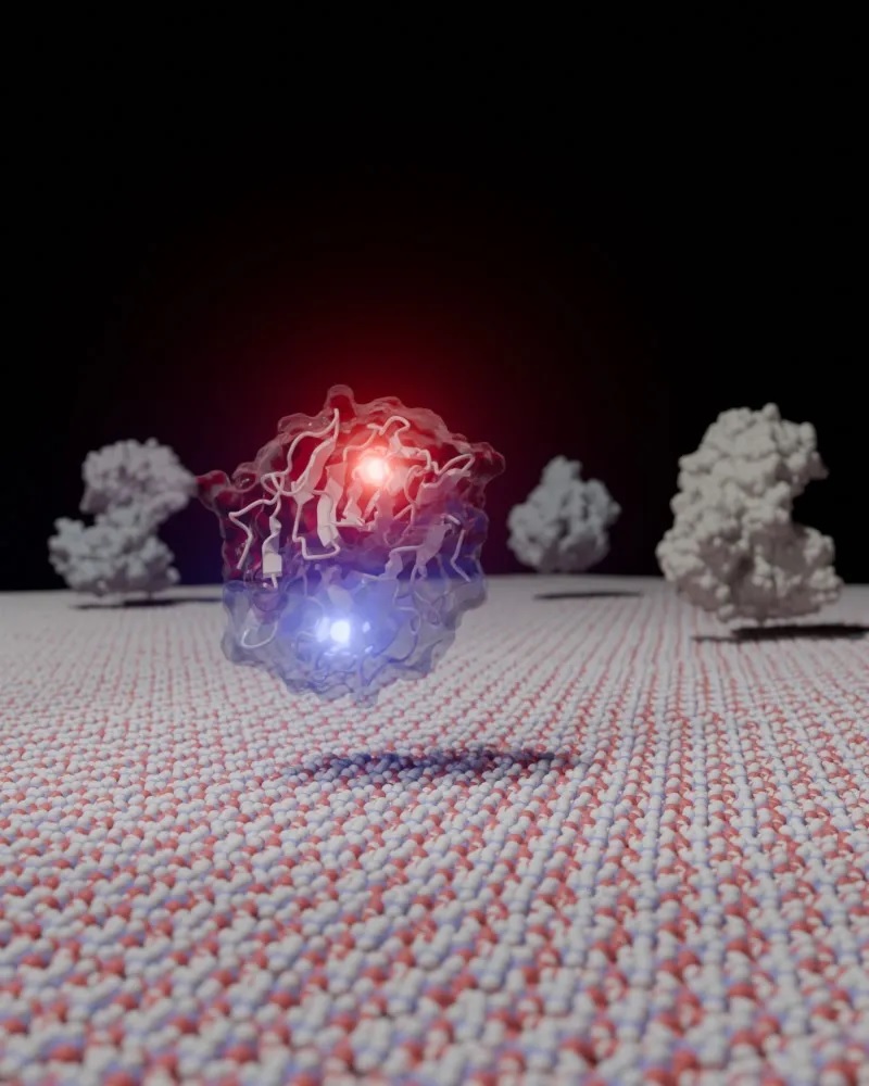 Pesquisa do CNPEM pode aumentar 20% a eficiência na produção de biocombustíveis
