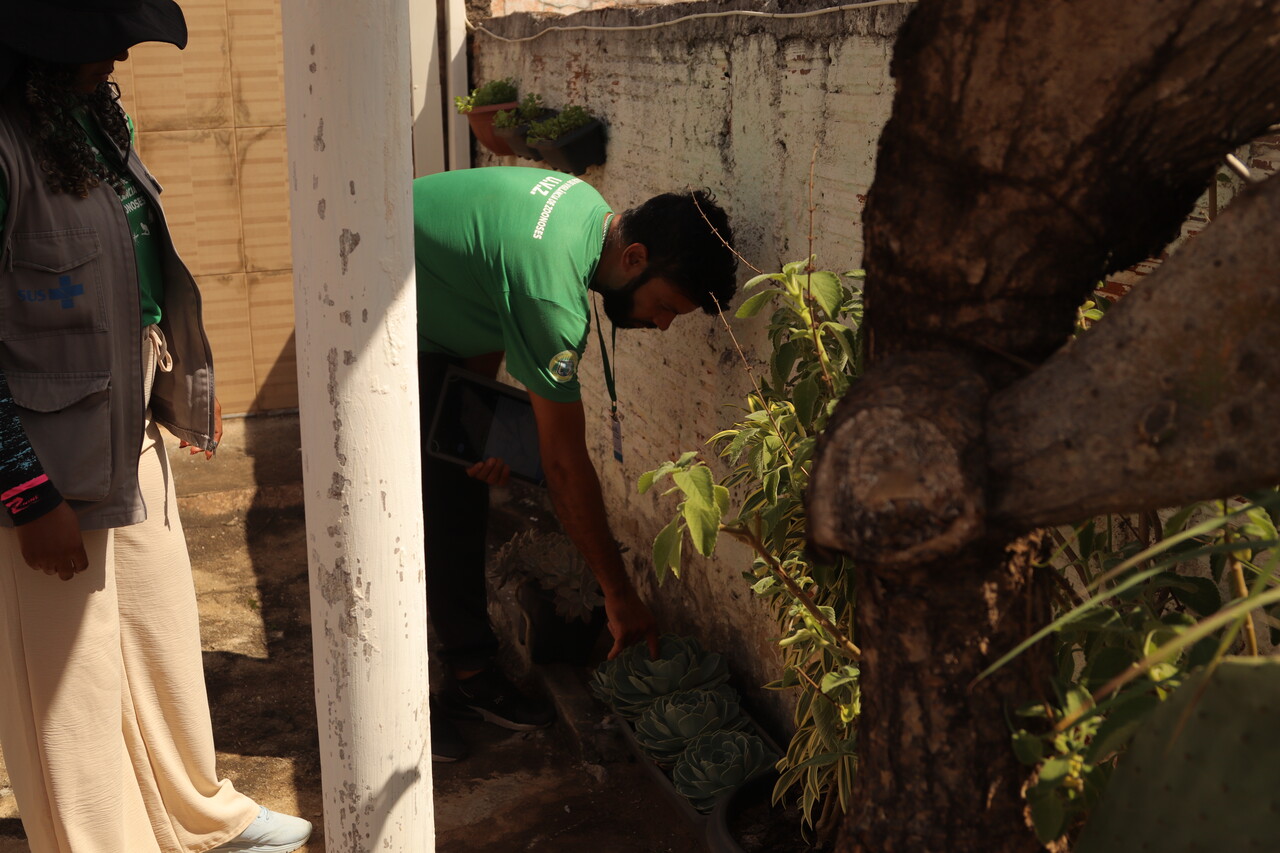 Hortolândia registra 1ª morte por dengue em 2025 