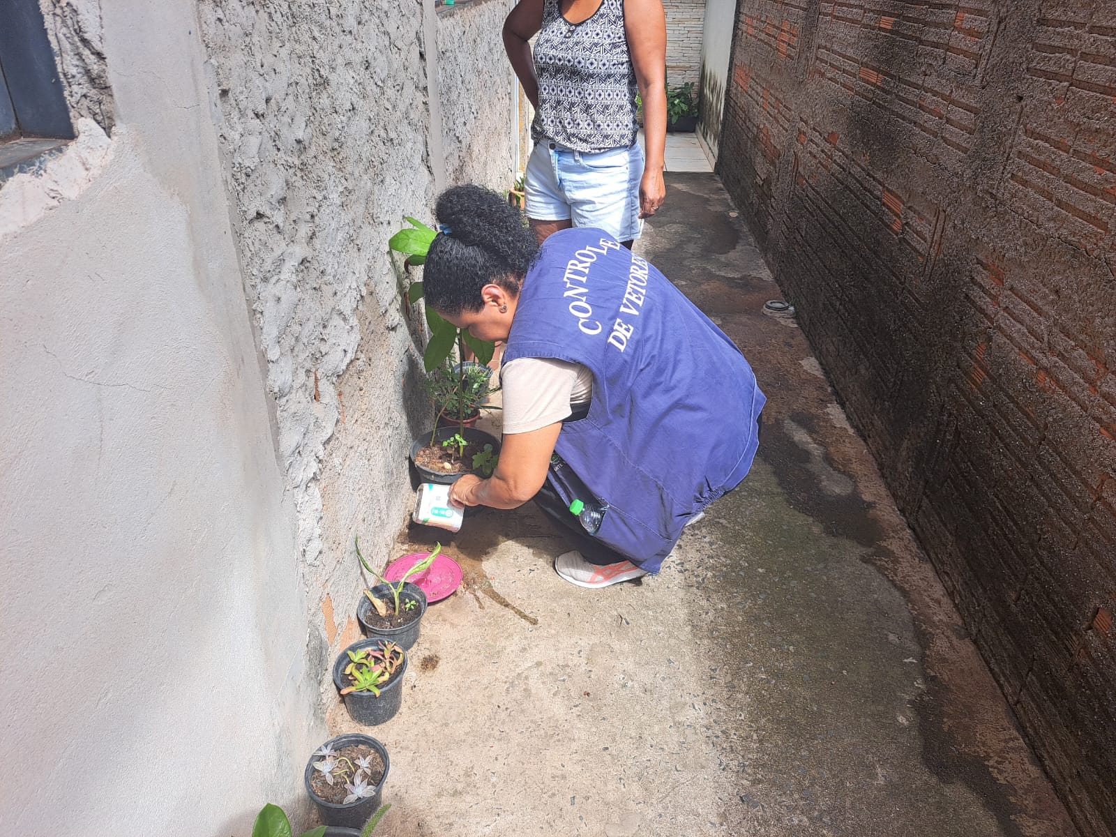 Monte Mor vai aplicar fumacê contra a dengue a partir desta segunda