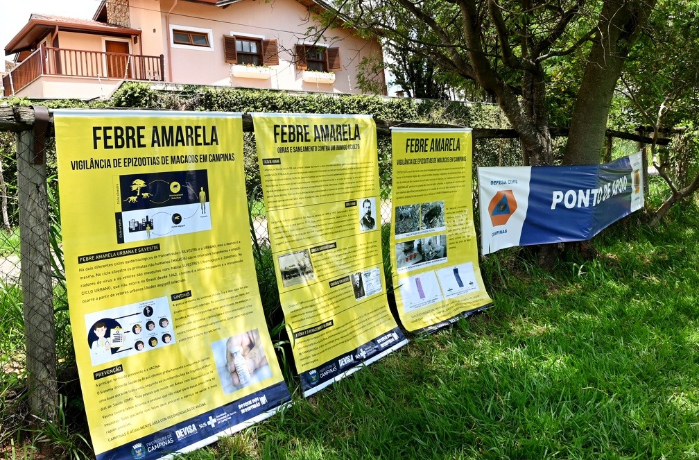 Campinas registra segundo caso de febre amarela