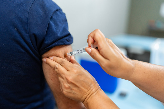 Valinhos confirma primeira morte de macaco por febre amarela