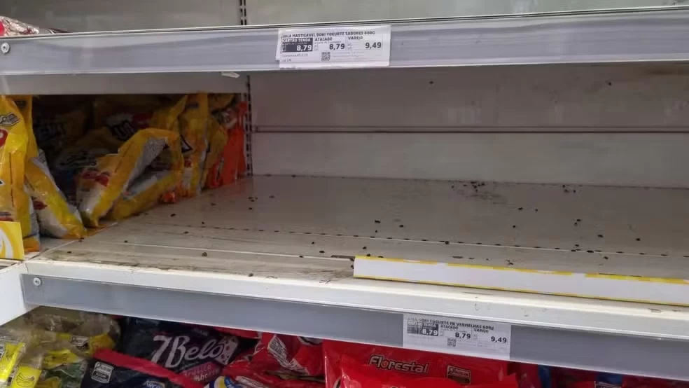 Vigilância encontra vestígios de ratos em atacadista; denúncias em Campinas aumentaram 8%