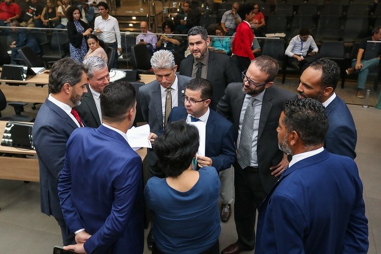 Câmara de Campinas vota projetos sobre castração de animais e bebedouros públicos 