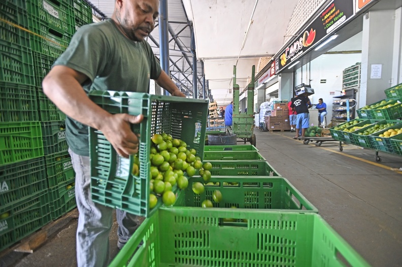 Ceasa celebra 50 anos com movimentação mensal de R$ 140 milhões na economia local