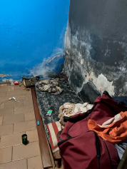 Indígenas são resgatados de trabalho escravo em Pedreira