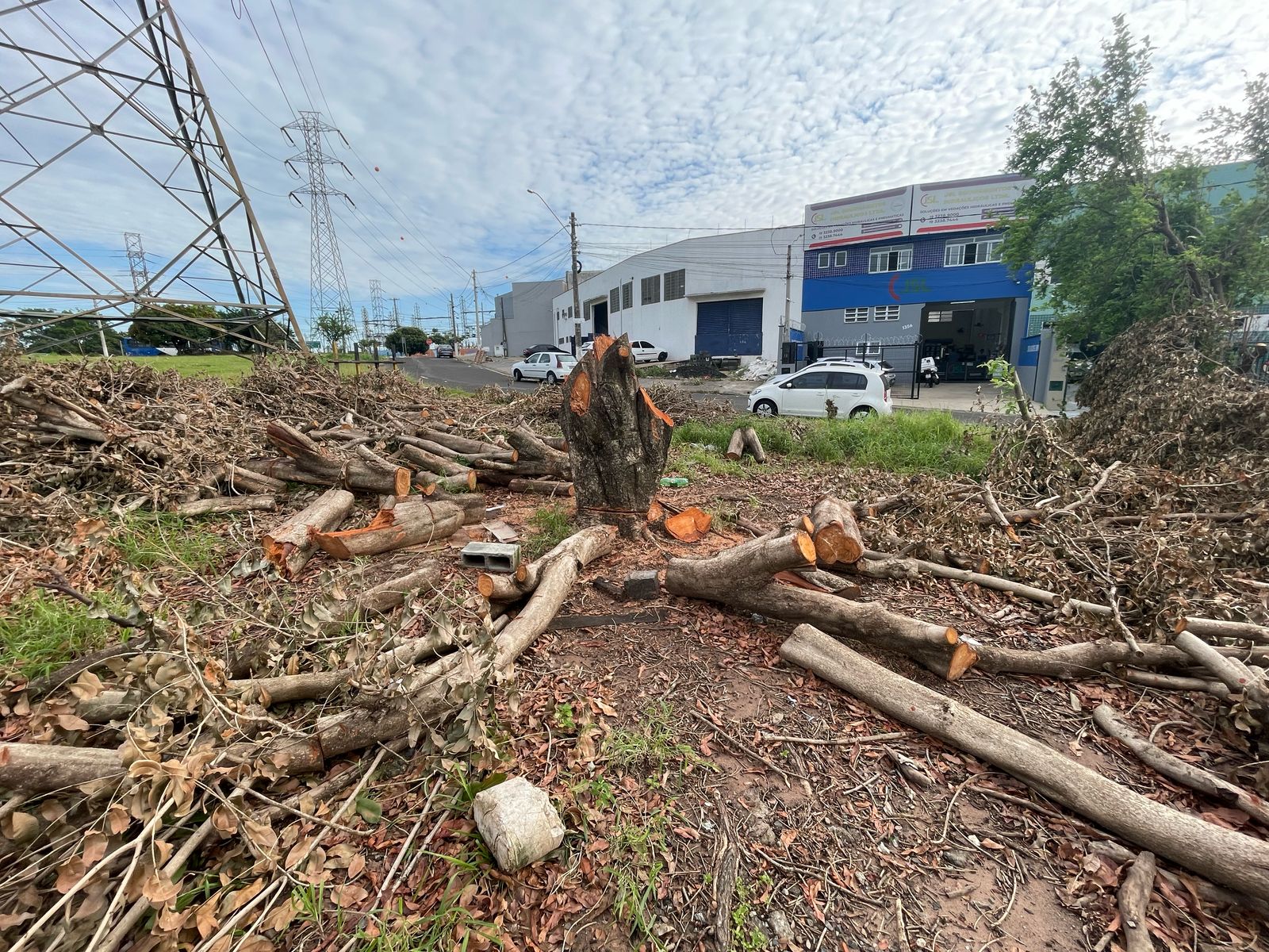 Moradores reclamam retirada de árvores no Jardim Nova Europa