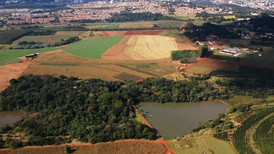 Pedido de tombamento busca barrar venda de parte da Fazenda Santa Elisa