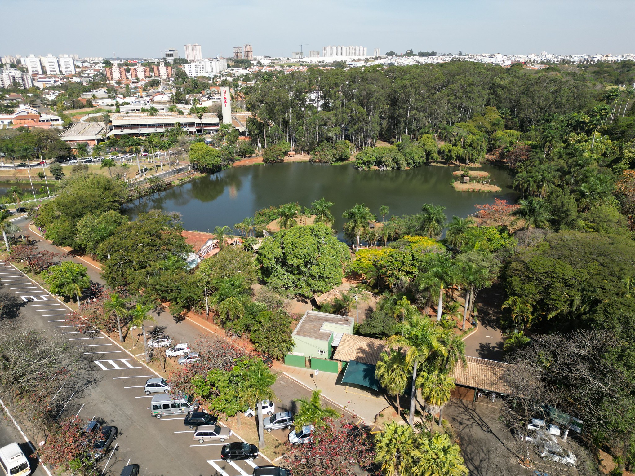 Americana chega a 17 mortes por dengue em 2025; mais quatro óbitos foram confirmados