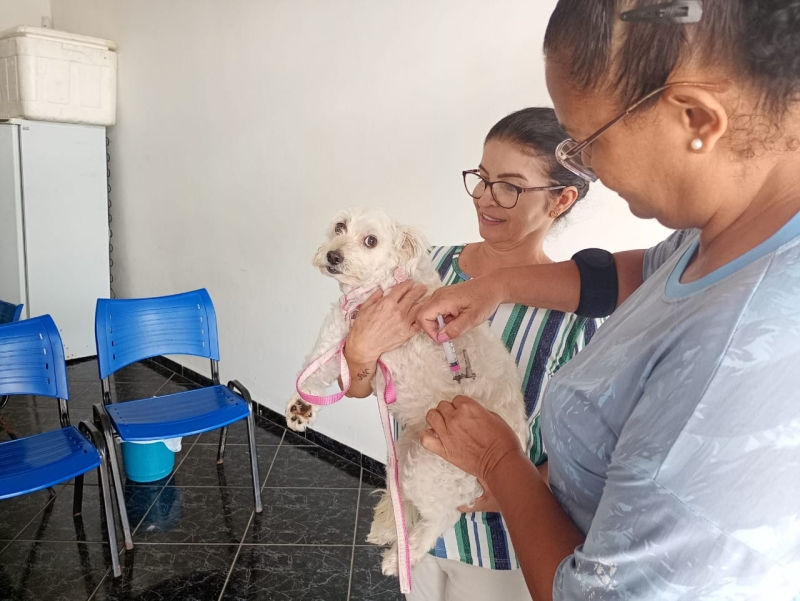 Prefeitura de Monte Mor realiza Campanha de Vacinação Antirrábica nesta semana