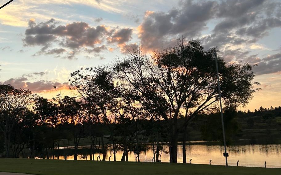 Onze cidades da região de Campinas têm índice de arborização menor do que o estado de SP