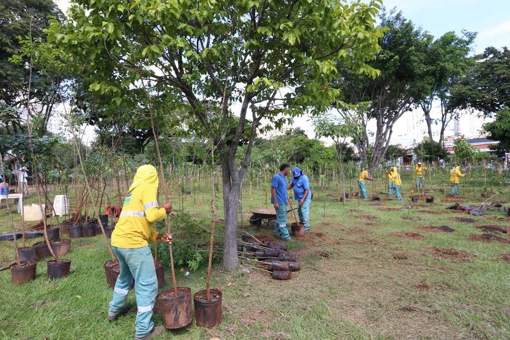 Primeira microfloresta será plantada nesta sexta no Balão do Laranja