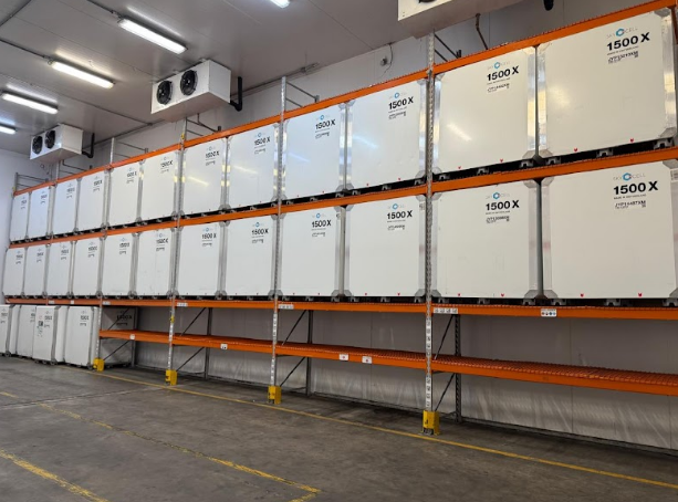 Viracopos recebe 14 toneladas de vacina contra a dengue