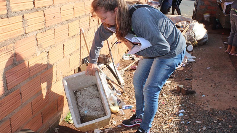 Americana segue com maior número de mortes por dengue na região; mas casos estão caindo