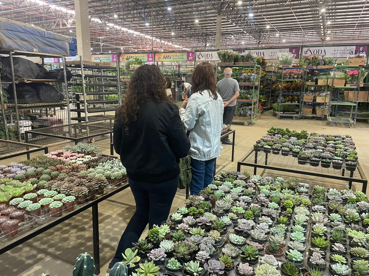 Flores Dia das Mães, Ceaflor 