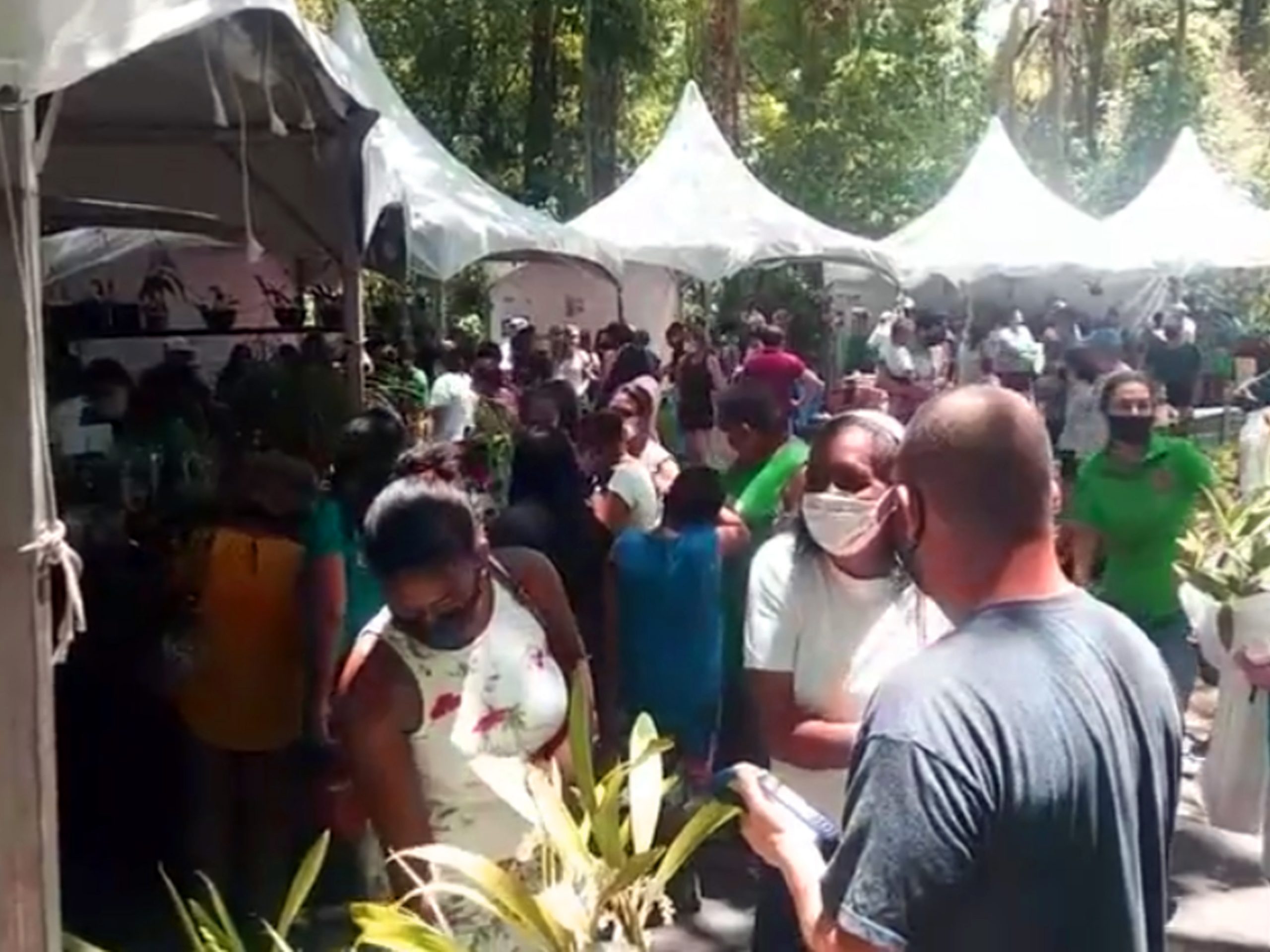 Festival de Orquídeas e Suculentas é realizado no Bosque dos Jequitibás