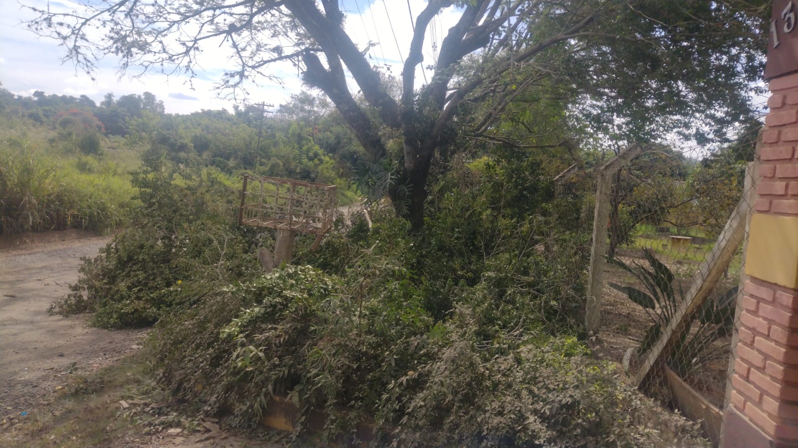 Demora na retirada de galhos prejudica trânsito e deixa moradores sem internet no Recanto dos Dourados