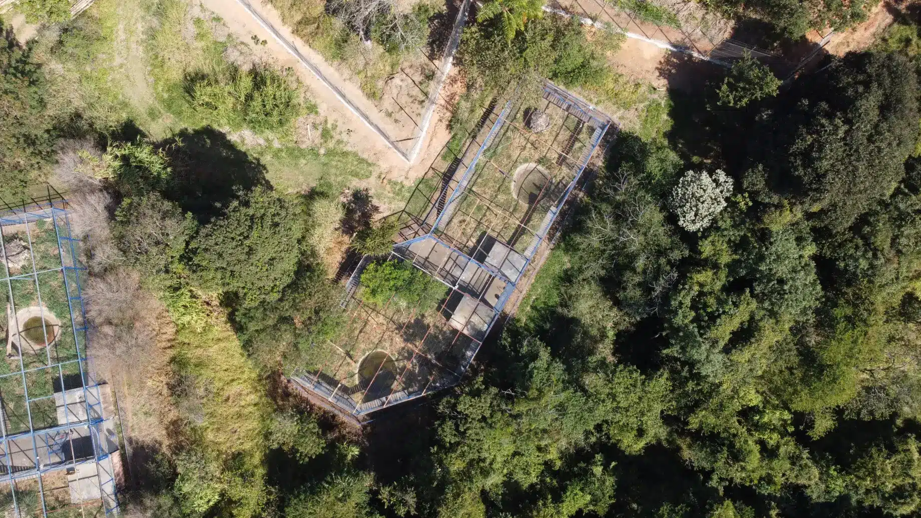 Onça-pintada suspeita de matar caseiro no Pantanal é transferida para instituto em Amparo 