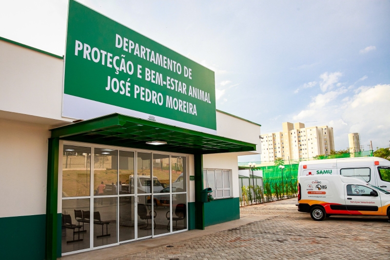 Paulínia prorroga prazo para cadastramento de protetores independentes e ONGs da causa animal 