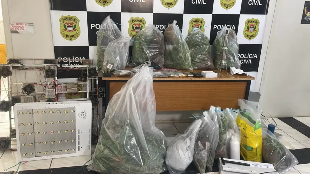 Polícia apreende R$ 500 mil em drogas e encontra casa com estufa em Mogi Guaçu