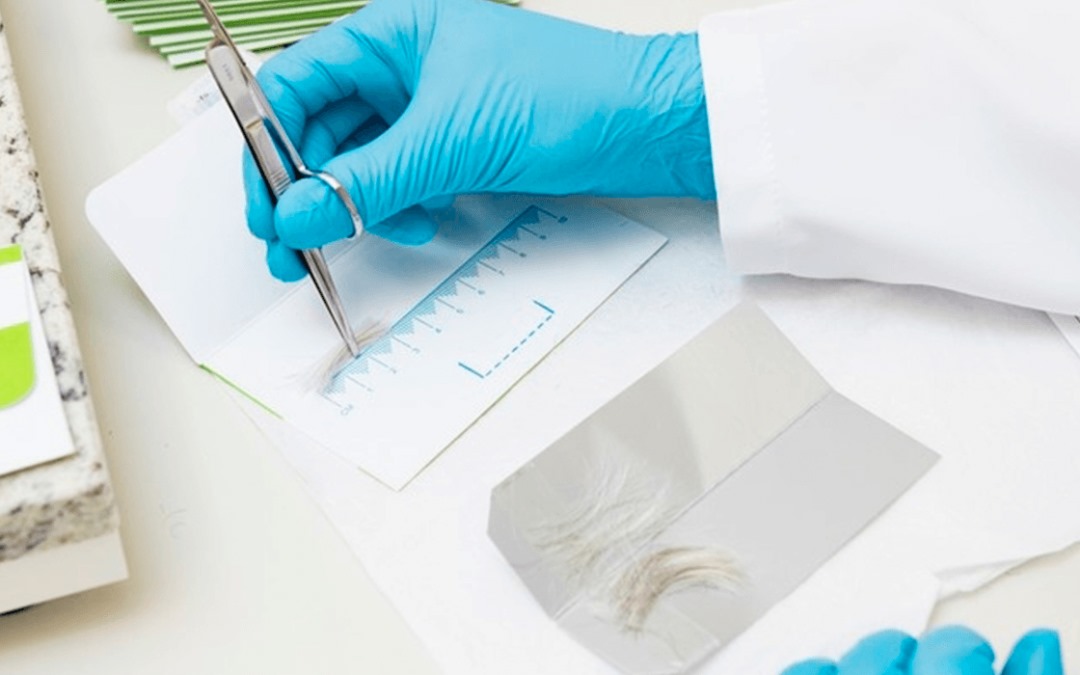 Projeto de lei propõe exame toxicológico obrigatório para políticos eleitos e servidores públicos de Campinas