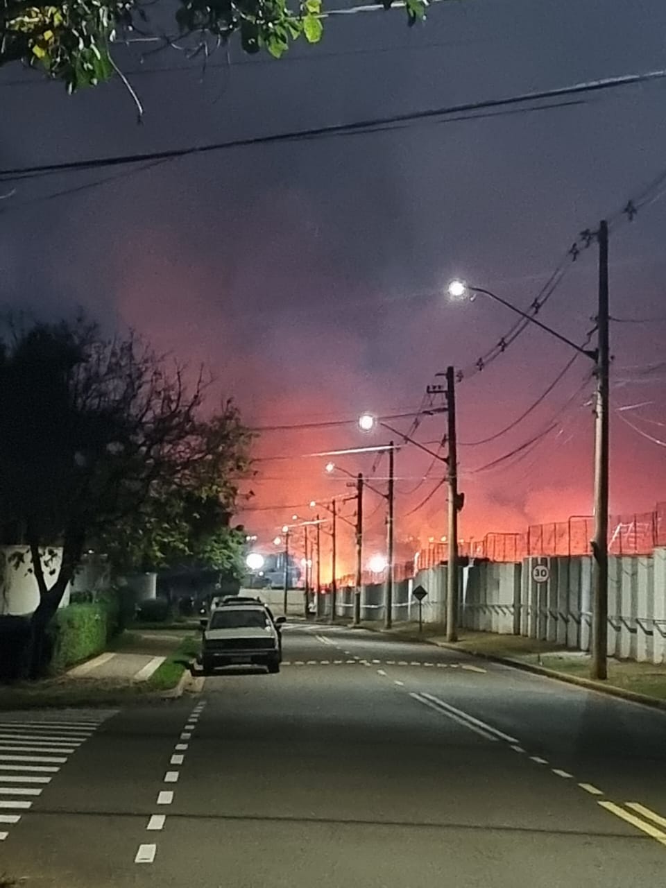 Queimadas fora de época provocam sufoco em moradores e colocam animais em risco em Paulínia