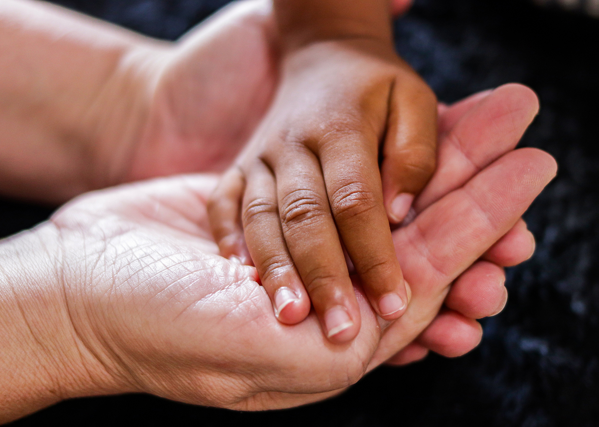 Projeto em Santa Bárbara D’Oeste fez 19 acolhimentos em pouco mais de dois anos 