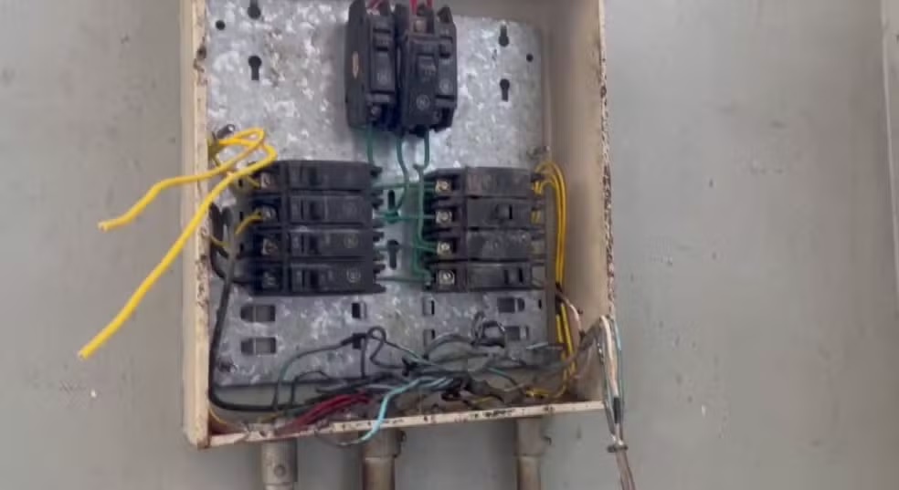 Sindicato aponta problemas em vistoria no Departamento de Proteção e Bem Estar Animal de Campinas