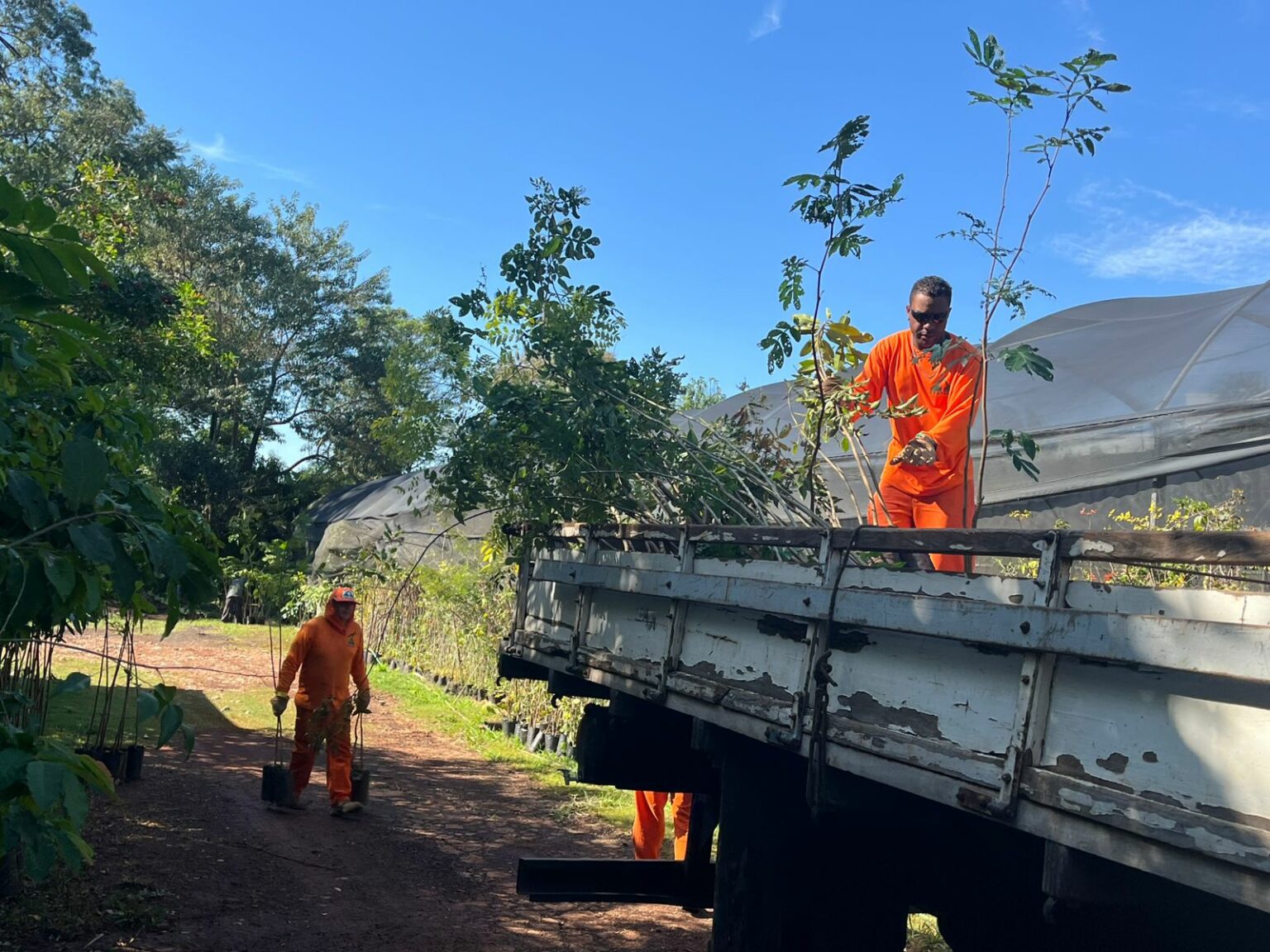 Área de descarte de lixo em Hortolândia deve virar floresta nos próximos anos