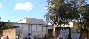 nutratta, ração, animal, cavalo, equino, investigação, MAPA