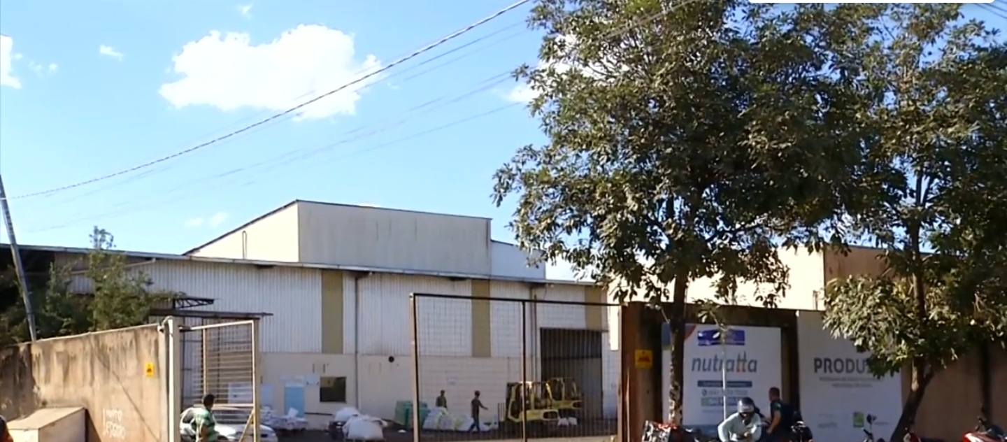 Entenda como substância química nociva em ração da Nutratta matou cavalos