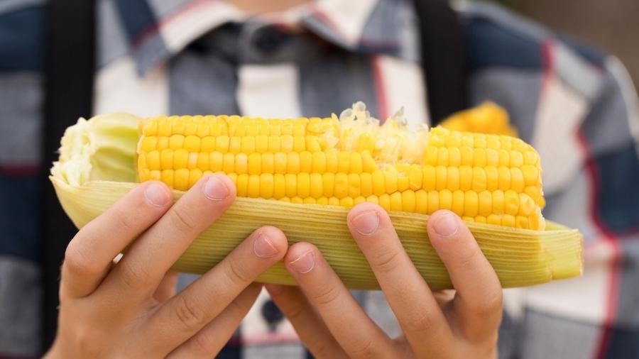 Festas juninas impulsionam preço do milho, que chega a triplicar no Ceasa de Campinas