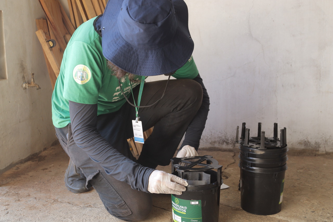 Hortolândia afirma que armadilhas reduziram quantidade de mosquito da dengue em bairro