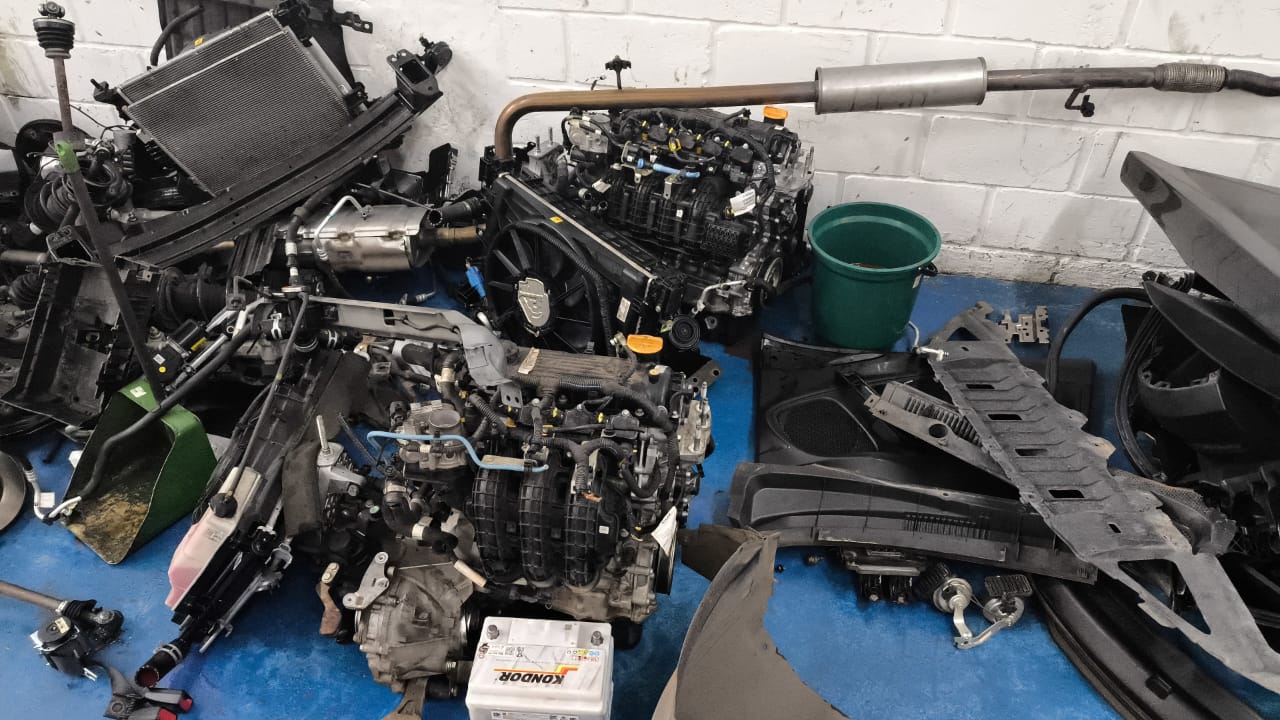 Desmanche é encontrado no Jardim das Bandeiras, em Campinas