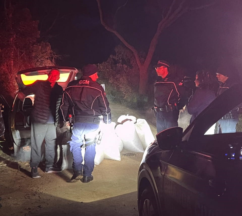 GM recupera 30 sacas de café em área rural de Socorro