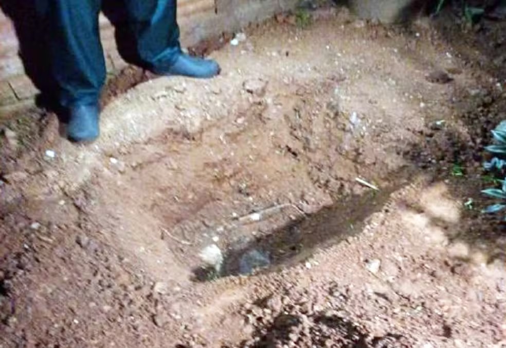 Homem que matou cães enforcados em Limeira é condenado