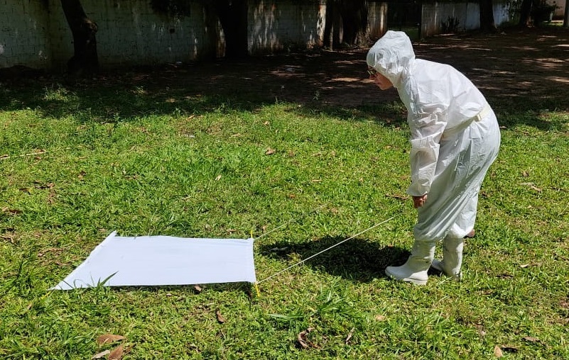 Indaiatuba reforça ações de prevenção contra febre maculosa em áreas com capivaras