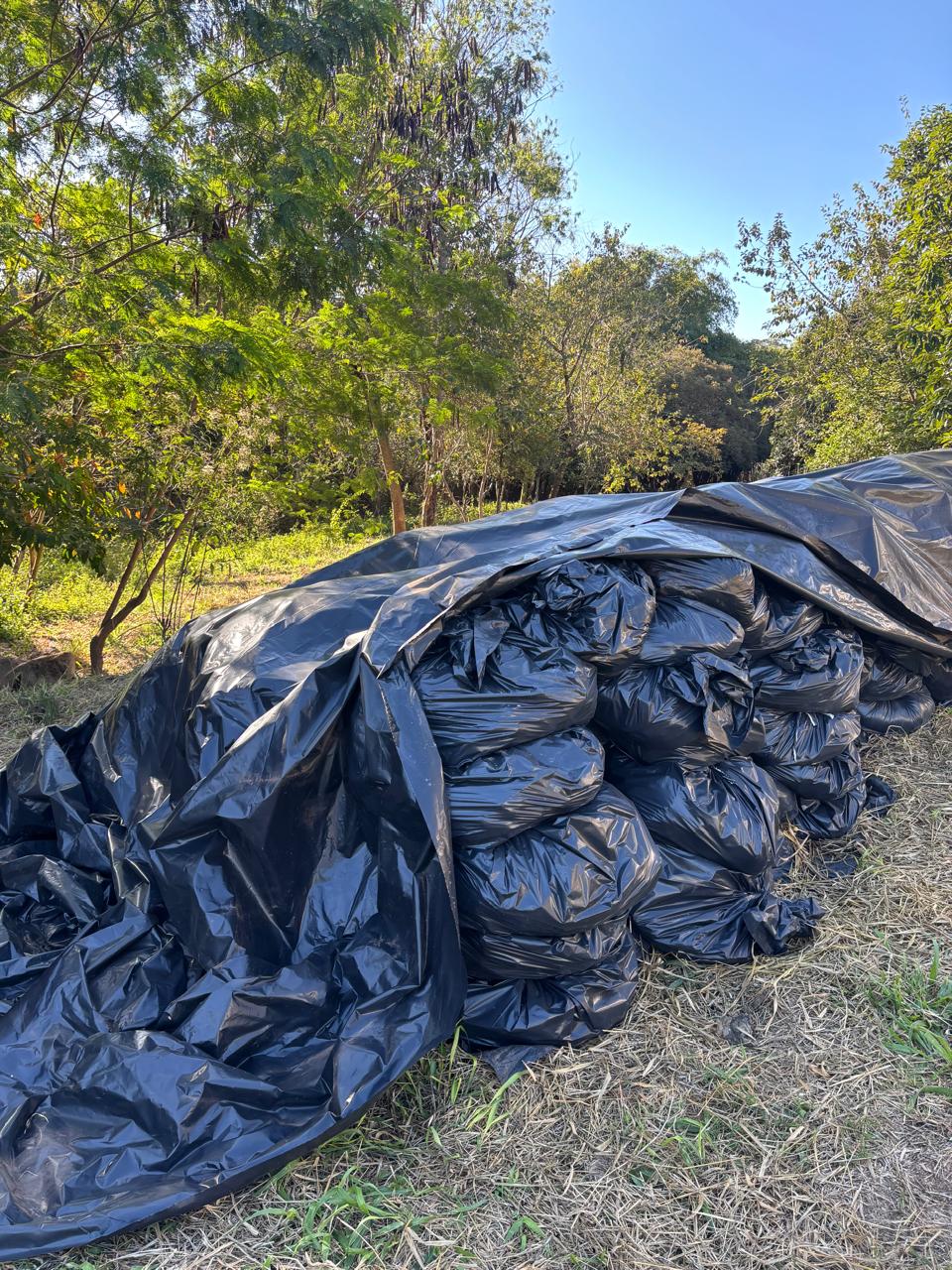 Pai e filho são presos por descarte irregular de produtos químicos no Rio Capivari