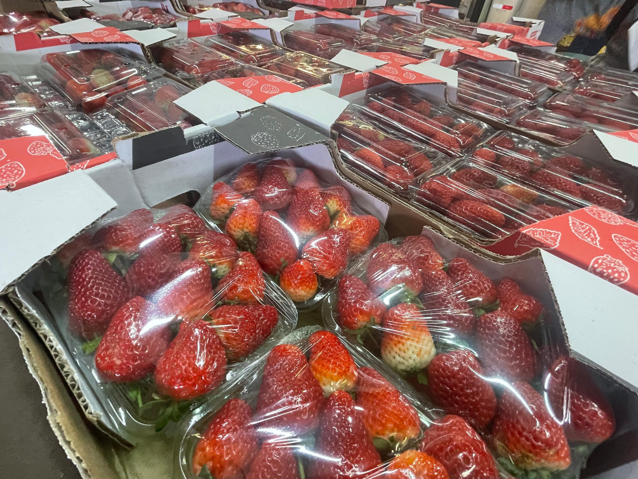 Mogi Guaçu recebe Festa do Morango de 16 a 19 de outubro