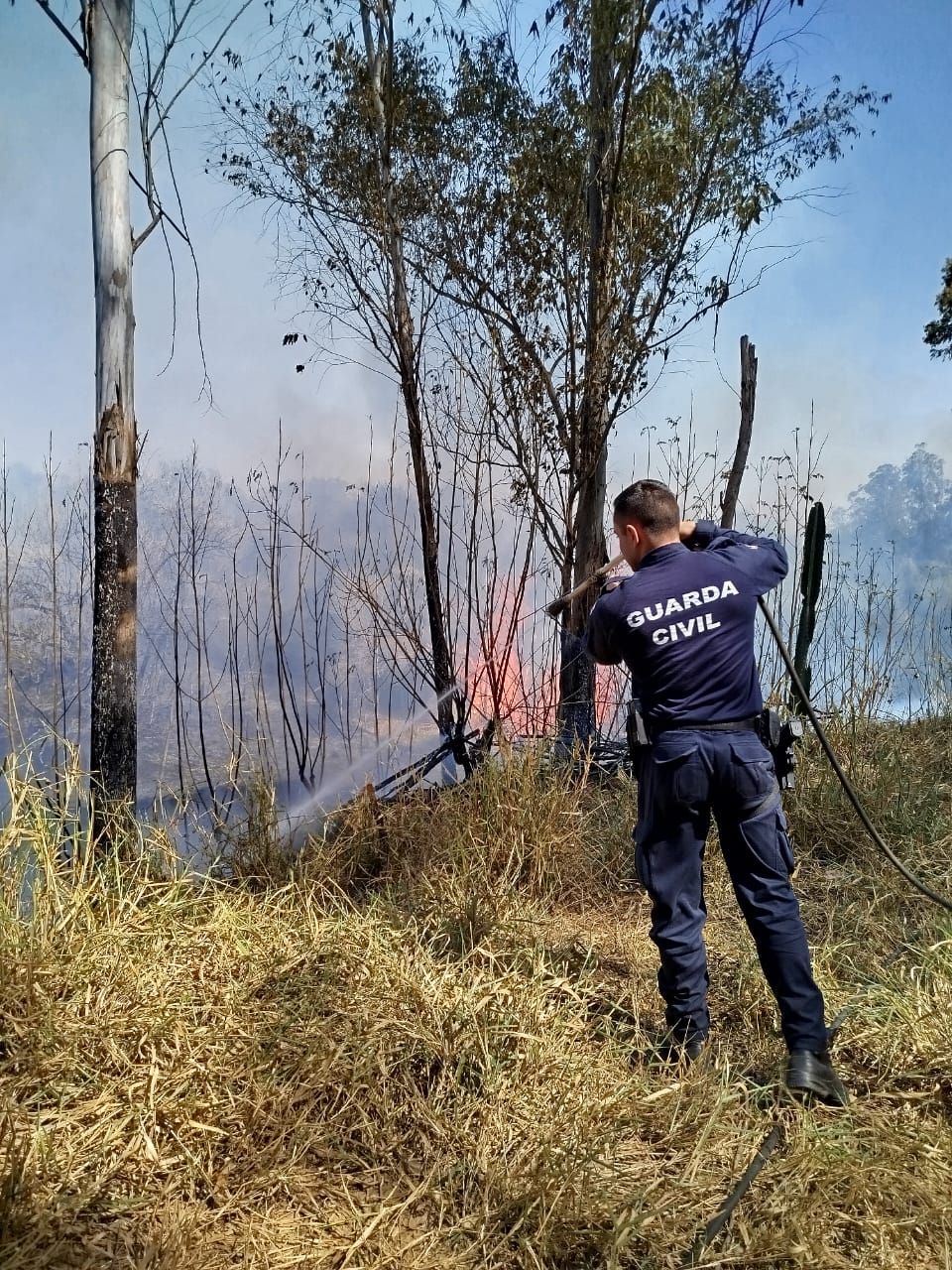 Bombeiros de Capivari combatem incêndio de 22 mil m² iniciado por adolescente de 13 anos